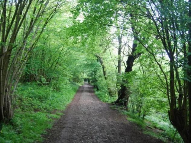 شقة Ramblers Rest Meopham  المظهر الخارجي الصورة